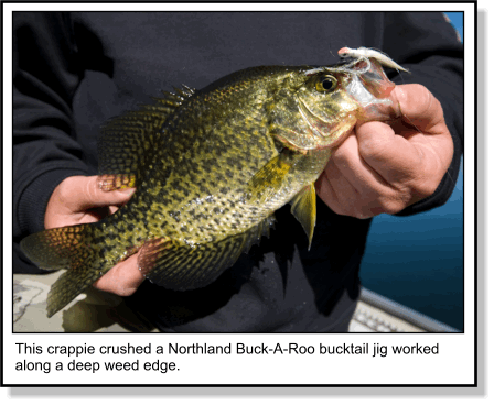 Panfish Fishing