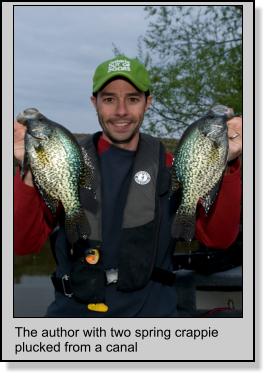The author with two spring crappie plucked from a canal