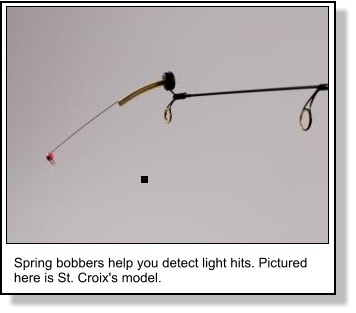 Perch Fishing