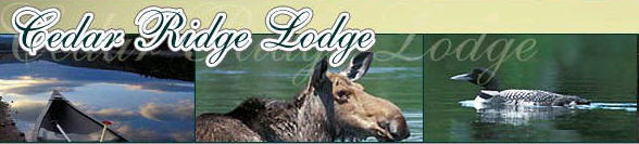 Cedar Ridge Lodge