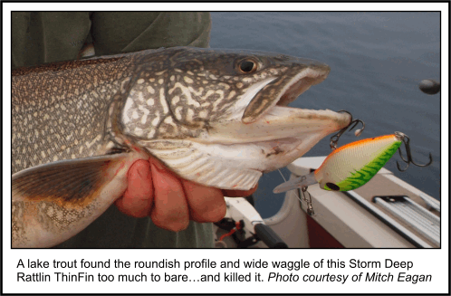 Great Lakes Trout Fishing