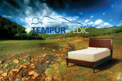Tempurpedic