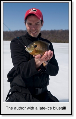 Ice fishing for Bluegill
