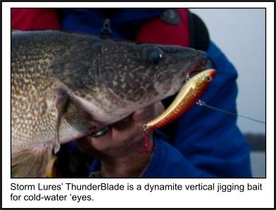 Walleye
