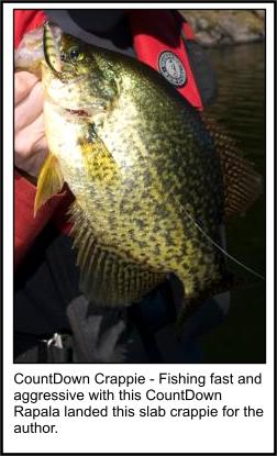 Live Bait