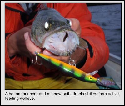 Minnow Bait & Walleye