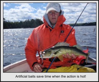 Artificial Baits
