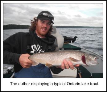Lake Trout