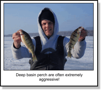 Perch