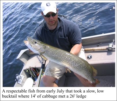 Picture of a Big Northern Pike!