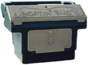 boatinbud.jpg (3322 bytes)