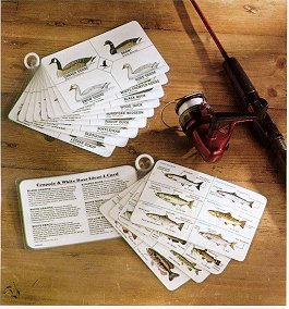 Fish and Waterfowl Ident-I-Cards are available individually or in sets.