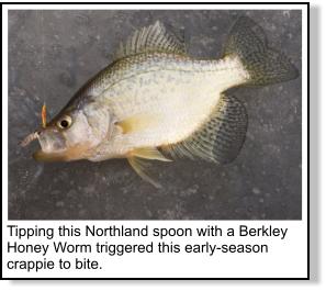 Ice Jigging for Crappie