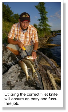 Filleting a Walleye