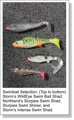 Swimbaits