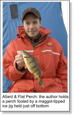 Perch Fishing