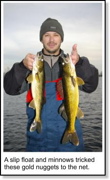 Walleye