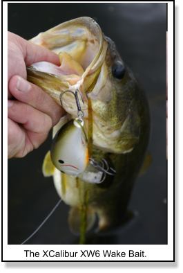 Wake Baits for Bass