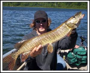 Post Spawn Northern Pike