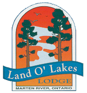 logolarge.gif (24930 bytes)